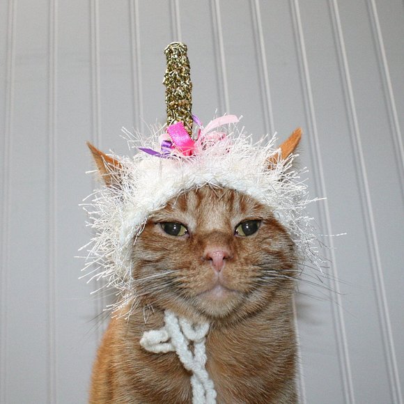 HAND CRAFTED Unicorn Cat Hat Crochet Hairy Wig Costume Photo Prop - Picture 1 of 9